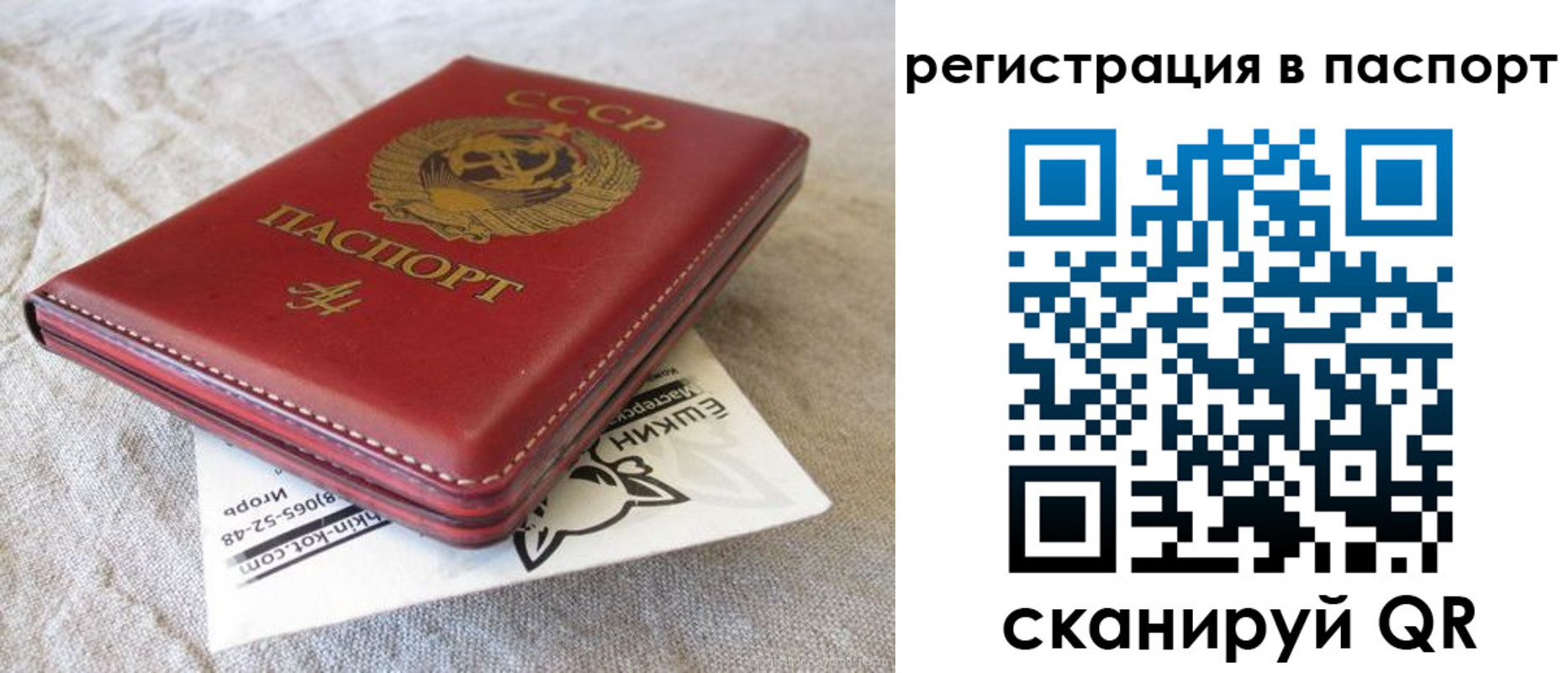 где прописаться в Чудово